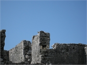IMG_0089